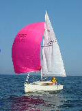 Baltic 2004: Blue Lightning sailing with pink spinnaker, May 2004