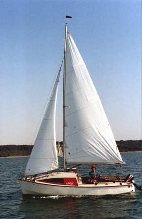 LIVELY sailing in the Solent (1)