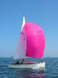 Baltic 2004: Blue Lightning sailing with pink spinnaker, May 2004